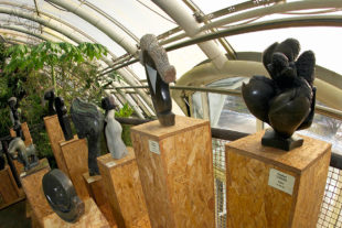 Africké sochy ve skleníku Fata Morgana | sochy na prodej