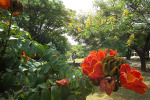 Sochy z ateliéru Dominica Benhury Sochy z ateliéru Dominica Benhury