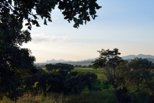 Sochařská komunita Tengenenge v Zimbabwe