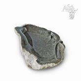 Cloudious Muhomba: socha Ještěrka