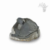 Cloudious Muhomba: socha Ještěrka