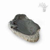 Cloudious Muhomba: socha Ještěrka