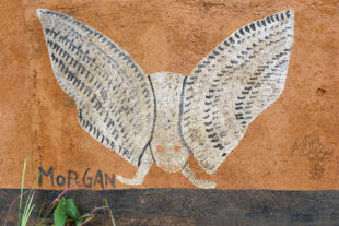 Malířství v Tengenenge Malířství v Tengenenge - Morgan Jamhu